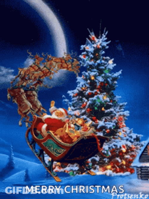 Merry Christmas Meme Riding Santa GIF