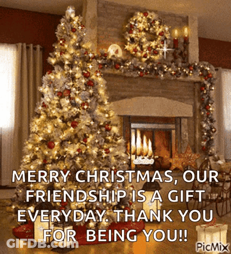 Merry Christmas Our Friendship Gift Everyday GIF