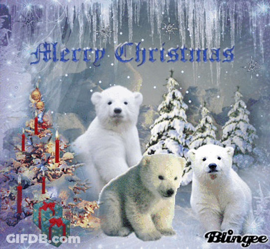 Merry Christmas Polar Bear GIF