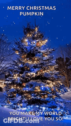Merry Christmas Pumpkin I Love You GIF