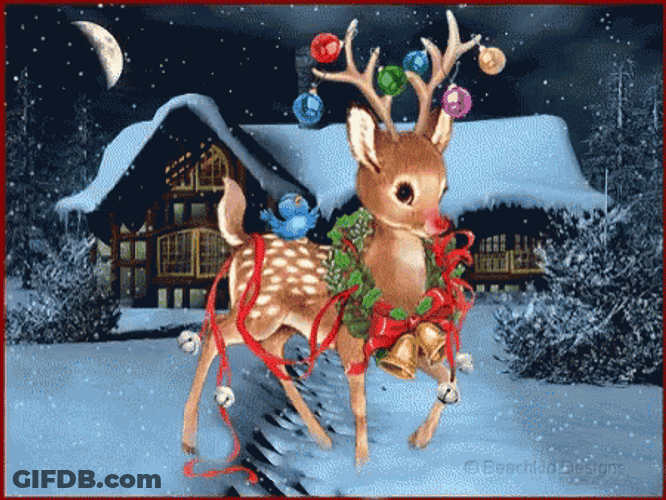 Merry Christmas Rudolph GIF