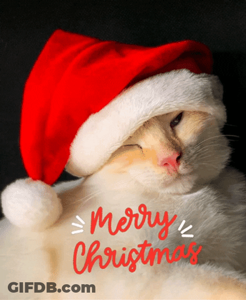Merry Christmas Winking Cat GIF