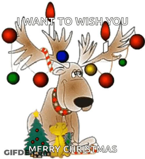 Merry Christmas Wishes Deer Bulb Design GIF
