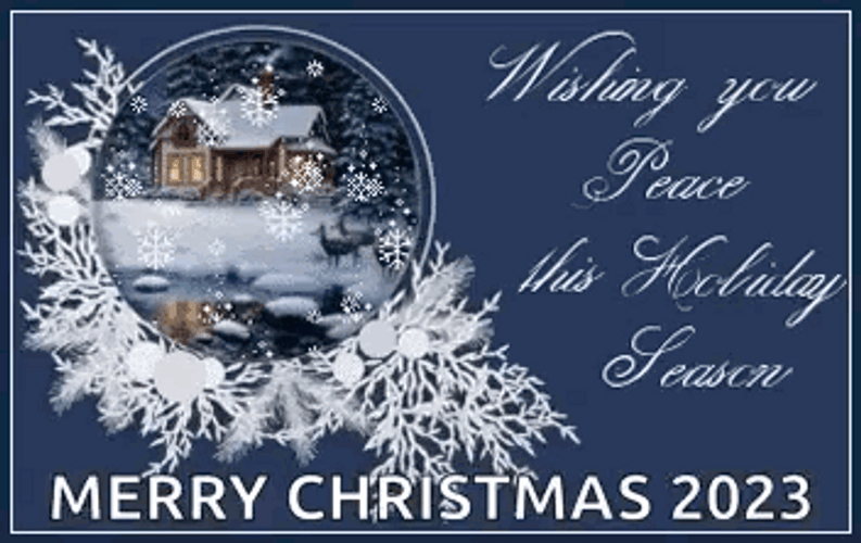 Merry Christmas Wishes Holiday Season GIF