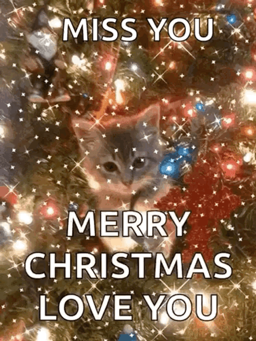 Merry Christmas Wishes Miss You Kitten GIF