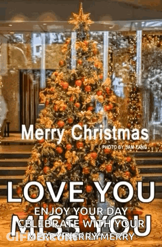 Merry Christmas With Christmas Tree GIF