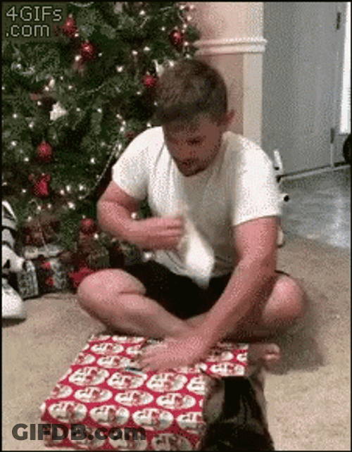 Merry Christmas You Filthy Animals GIF
