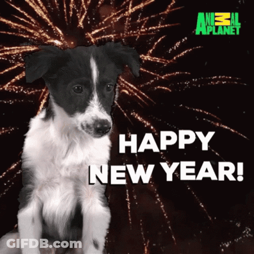 Merry New Year GIF