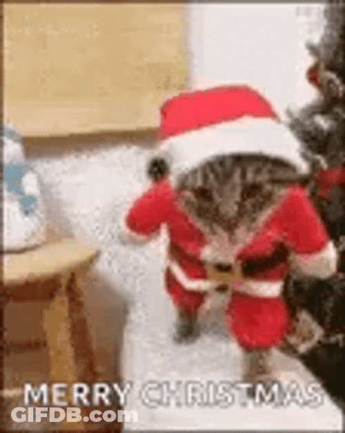 Merry Xmas Cute Santa Cat GIF