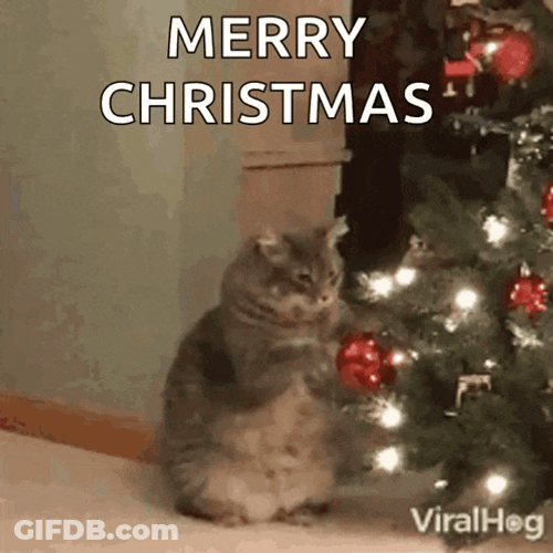 Merry Xmas GIF
