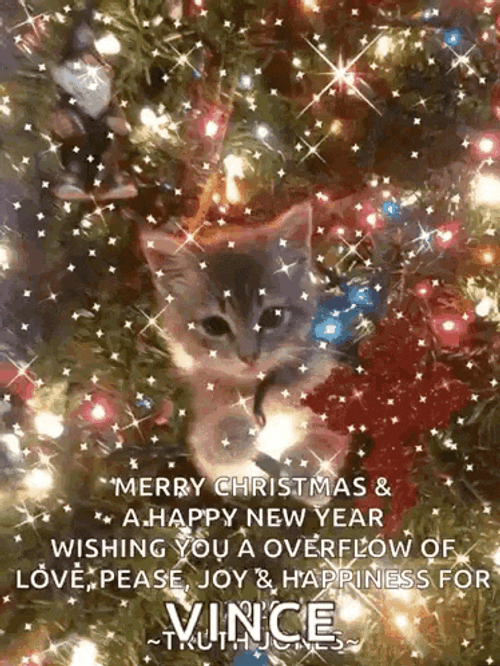 Merrychristmas Happynewyeartoall GIF