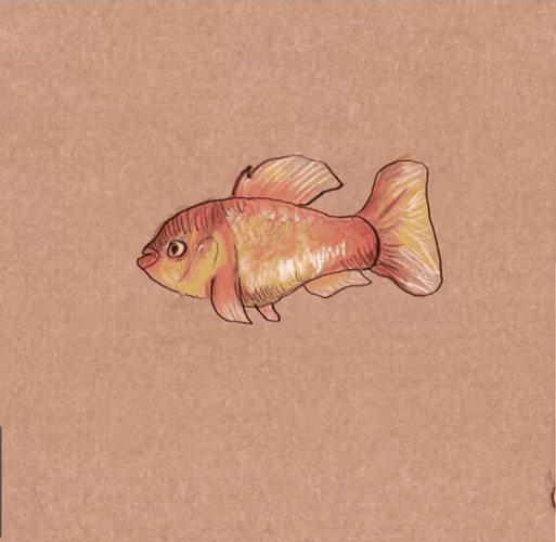 Mesmerizing Evolution Transitions GIF