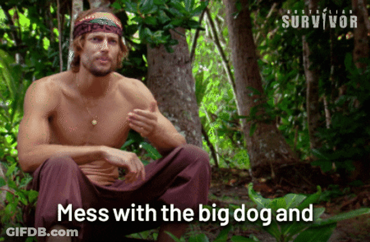Mess With Big Dog And Get Horns GIF