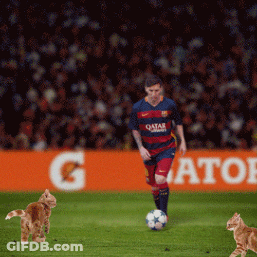 Messi Cute Cats Fighting Animation GIF