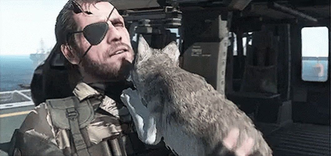 Metal Gear Solid Cat GIF