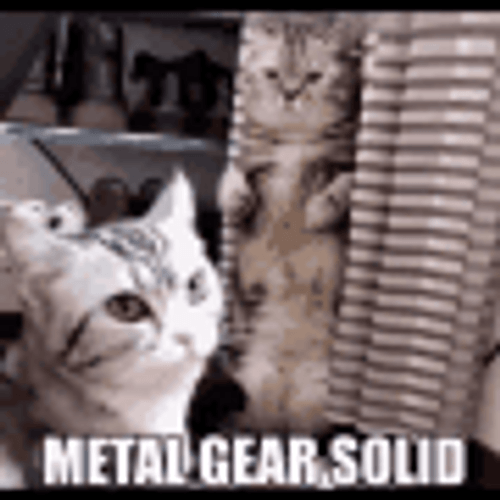 Metal Gear Solid Cute Cats GIF