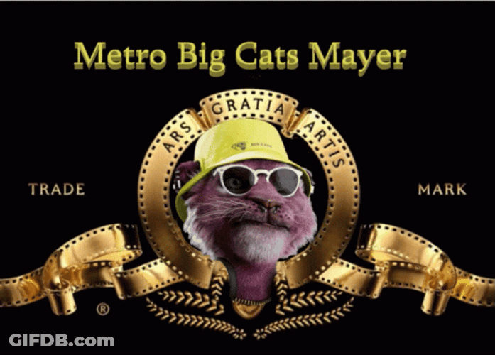 Metro Big Cats Mayer Logo GIF