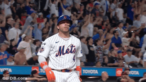 Mets Baseball Player In Front Of Fans GIF