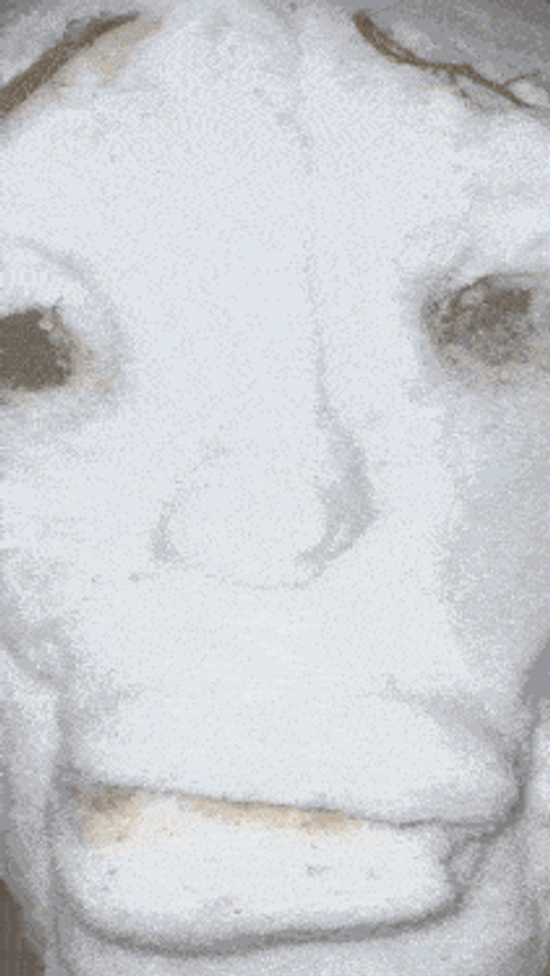 Mewing Meme Snow Man Close Up Look GIF