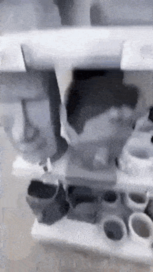 Mewing Moyai GIF