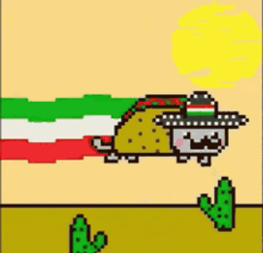 Mexican Burrito Nyan Cat GIF