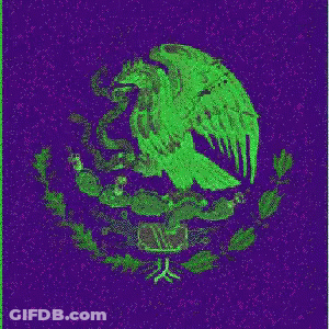 Mexican Eagle With Snake Around Neck GIF