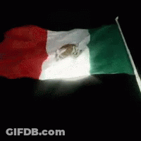 Mexican Flag Flying In Dark GIF