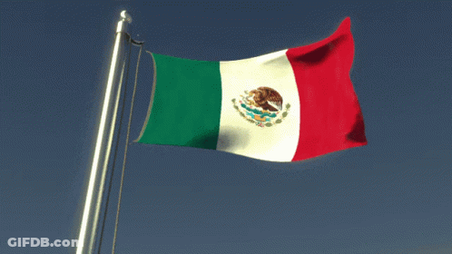 Mexican Flag Waving In Wind GIF