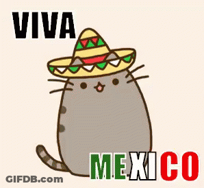 Mexican Flag With Guitar Sombrero Cactus GIF
