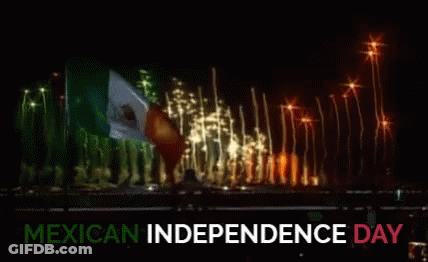 Mexican Independence Day Poster With Fireworks GIF