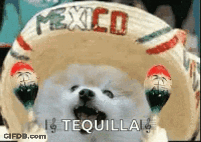 Mexico GIF