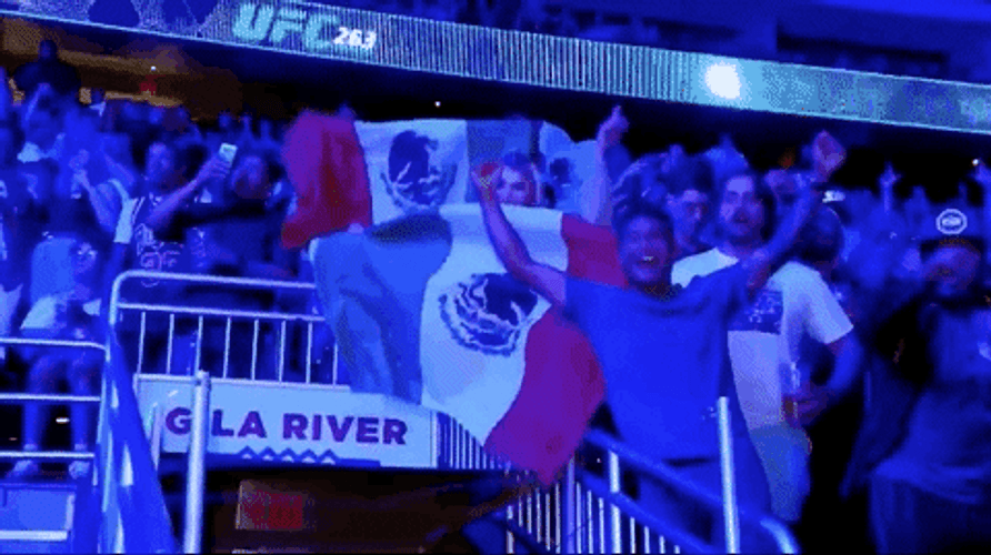 Mexico Flag Sports Stadium GIF