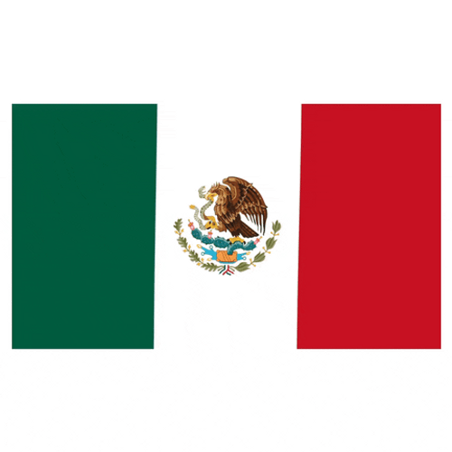 Mexico Flag Video GIF
