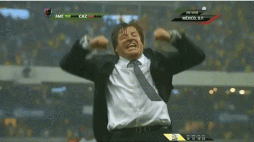 Mexico Soccer Manager Miguel Herrera Flipping Out GIF