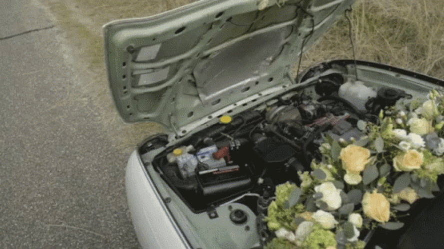 MG Car Engine Floral Decoration GIF