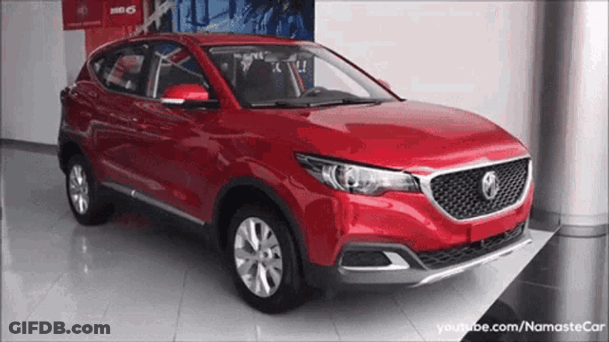 Mg Zs Mg GIF