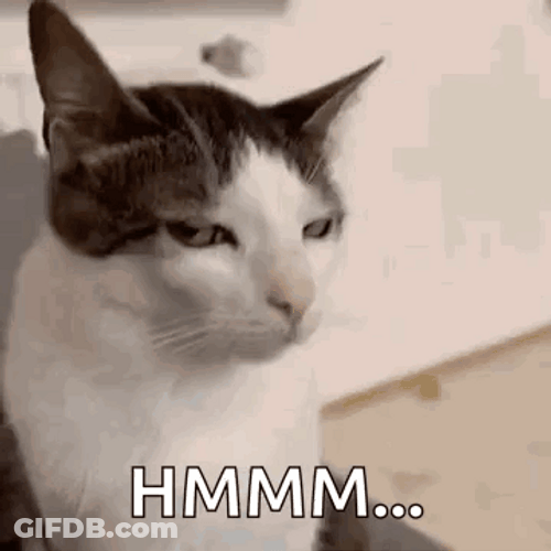 Mhmmm Side Eyeing Cat GIF