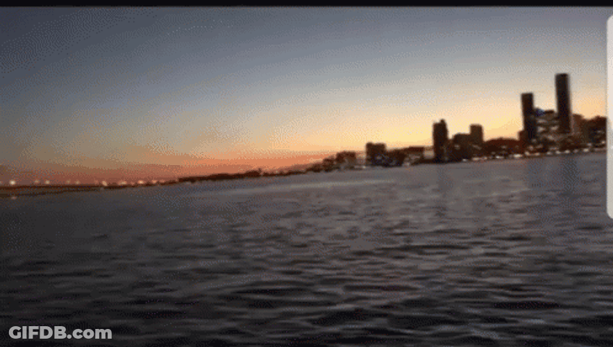 Miami Beautiful Buildings GIF