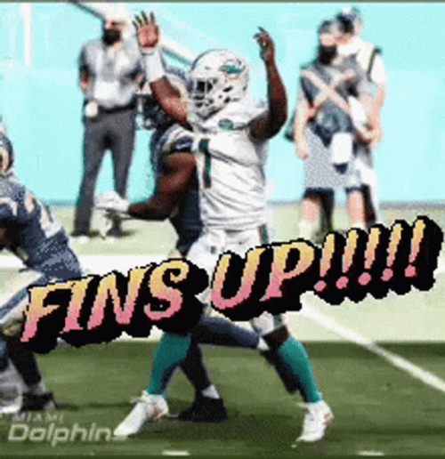 Miami Dolphins Fins Up GIF