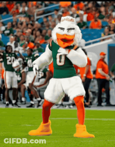 Miami Dolphins Mascot Dancing GIF