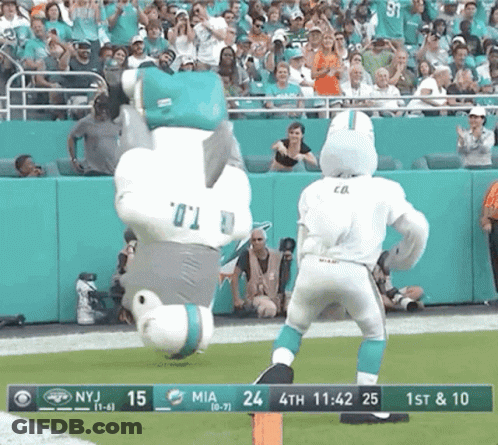 Miami Dolphins Mascot On Field GIF
