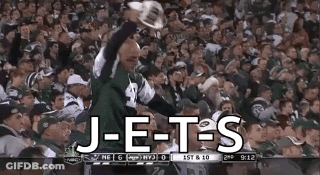 Miami Dolphins Mascot Standing Upside Down GIF