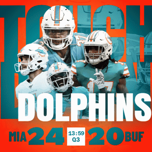 Miami Dolphins Touchdown GIF