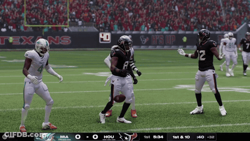 Miami Dolphins Vs Houston Texans Football Game GIF