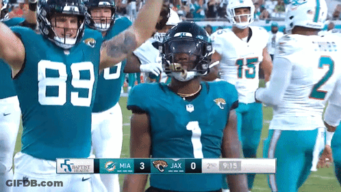 Miami Dolphins Vs Jacksonville Jaguars Football GIF