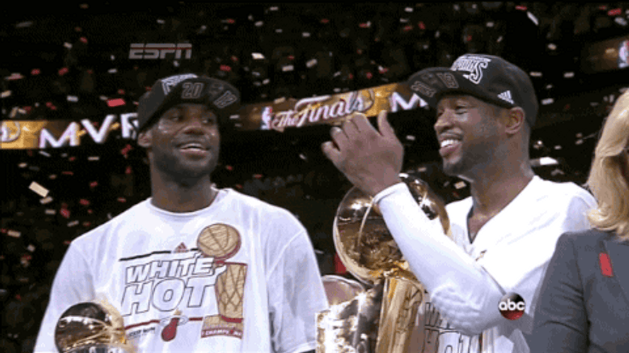 Miami Heat Championship GIF