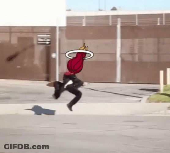Miami Heat Logo Harry Potter GIF
