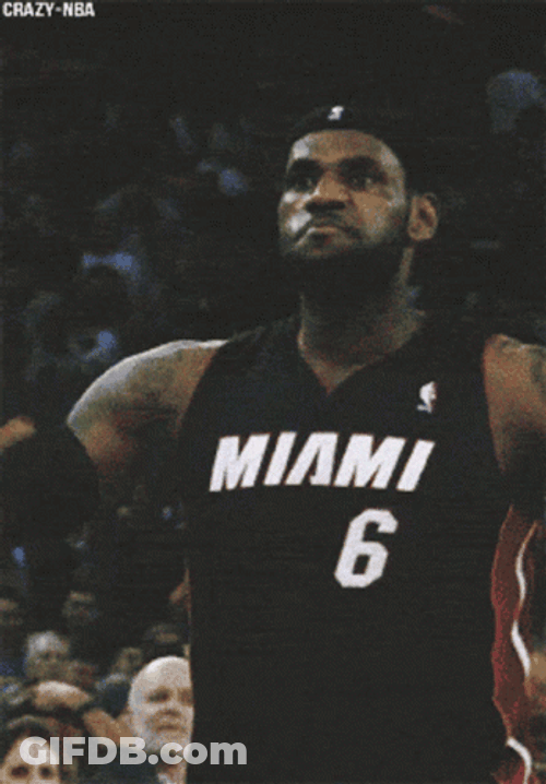 Miami Heat Proud Lebron James GIF
