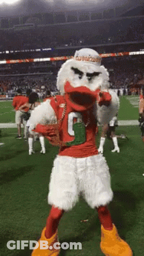 Miami Hurricanes Macot Game On GIF