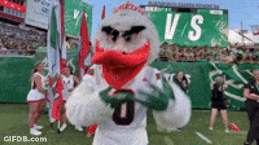 Miami Hurricanes Mascot Game Ready GIF